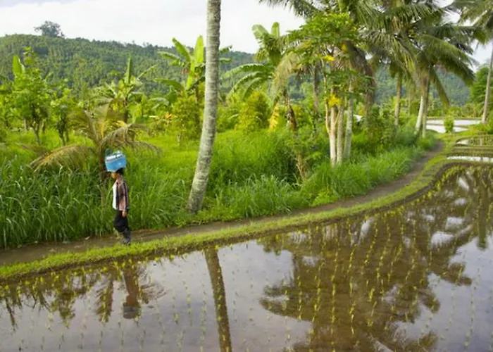 Karang Sari & Warung Maison d'hôtes Munduk