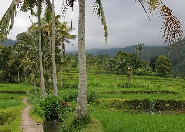 Karang Sari & Warung